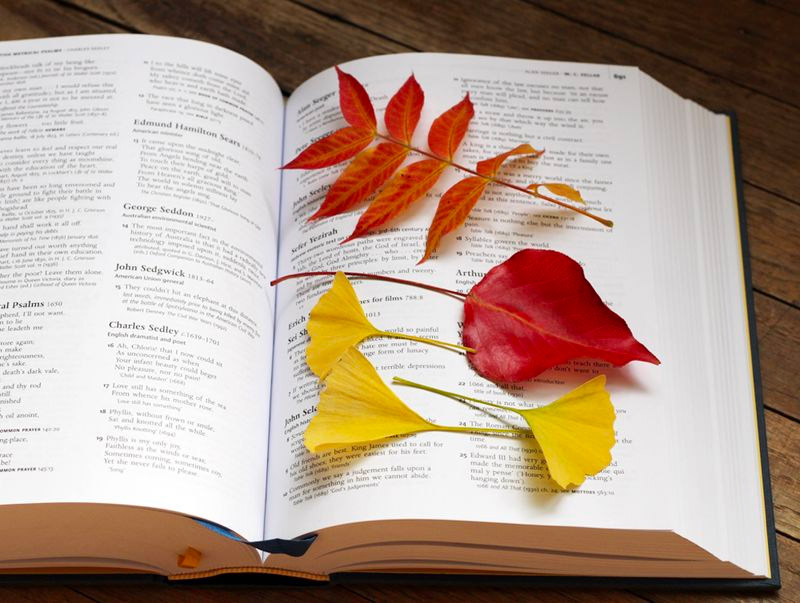 Een veelgebruikte methode voor het drogen van bladeren - tussen een boek!