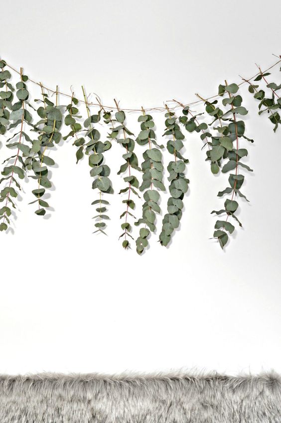 Eucalyptus kerstdecoratie
