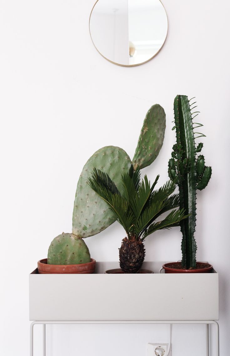 ferm-living-plantenbak-cactus