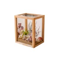 Display Box Kabinet Muur - €115,97