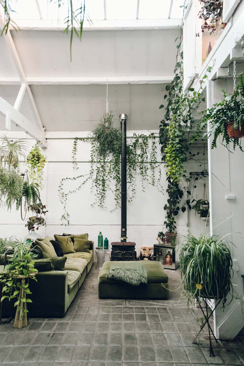 Groen interieur planten
