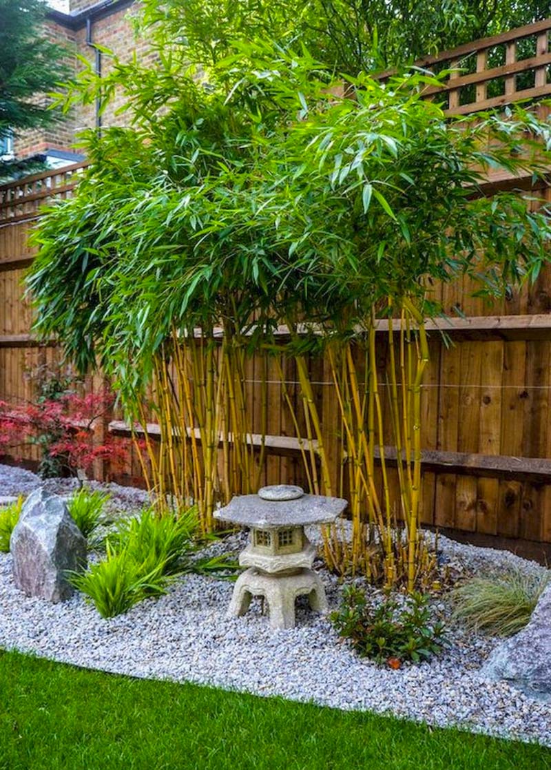 japanse tuin bamboo