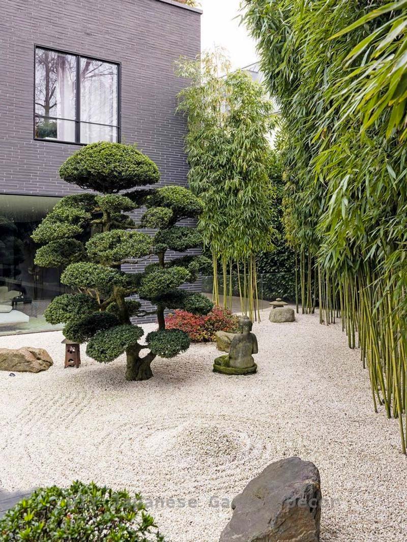 japanse tuin groen