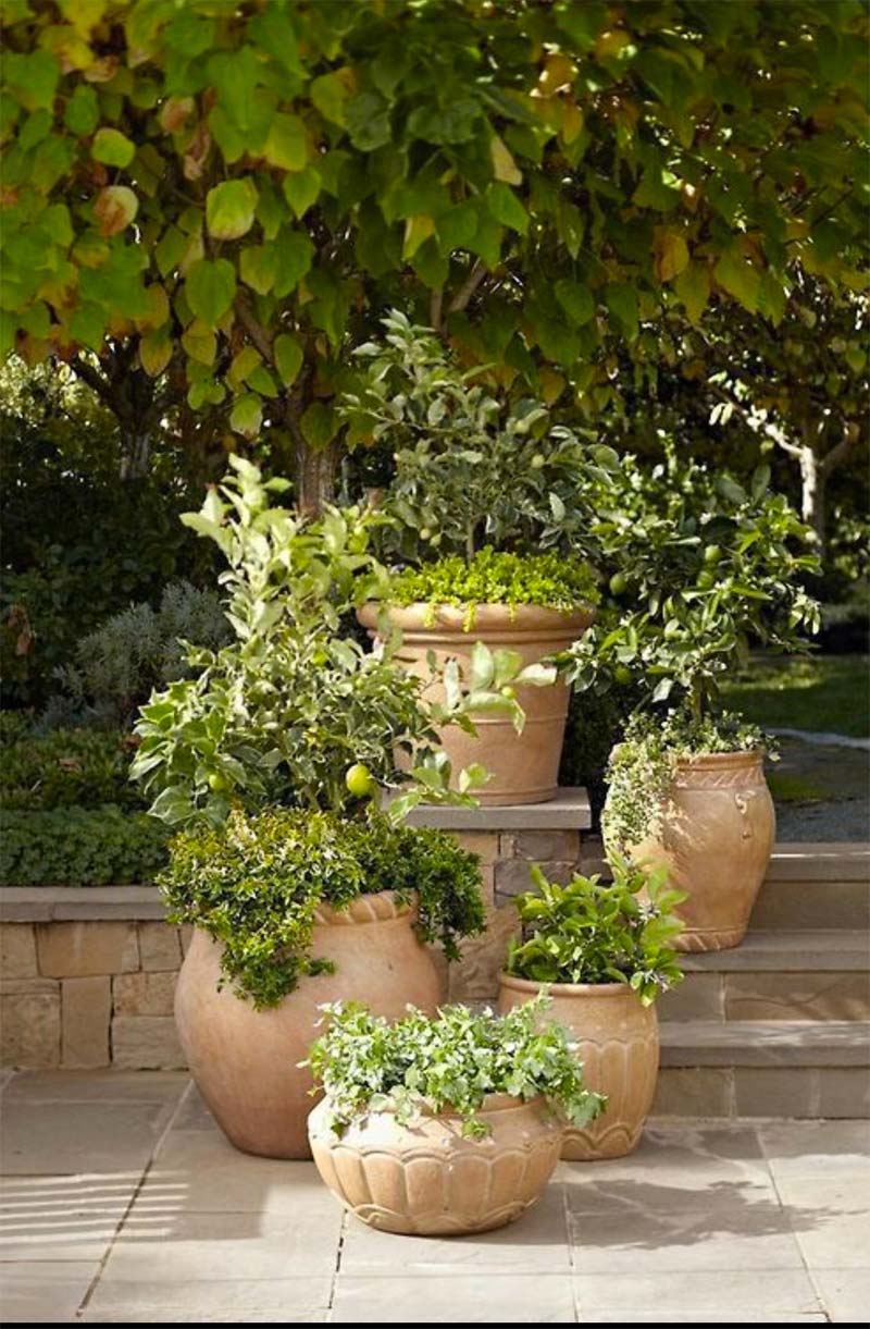 mediterrane tuin terracotta potten