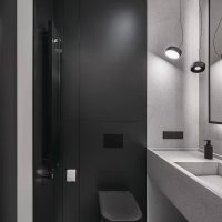 moderne grijze badkamer met zwarte details toilet