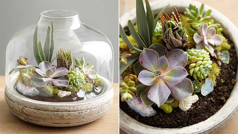 open terrarium maken