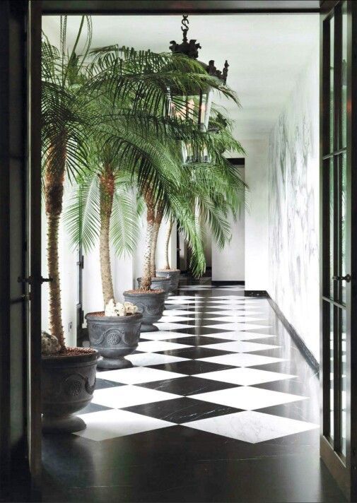 Palm in huis