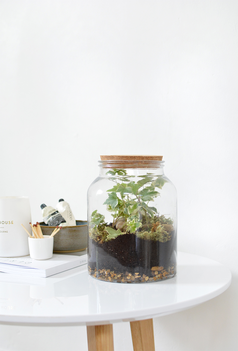 terrarium glazen pot met kurk deksel