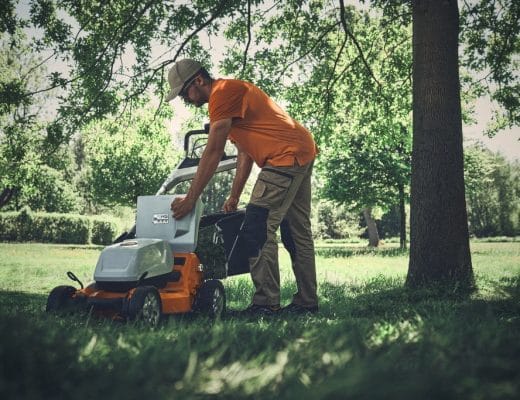 Van beginner naar professional in tuinonderhoud