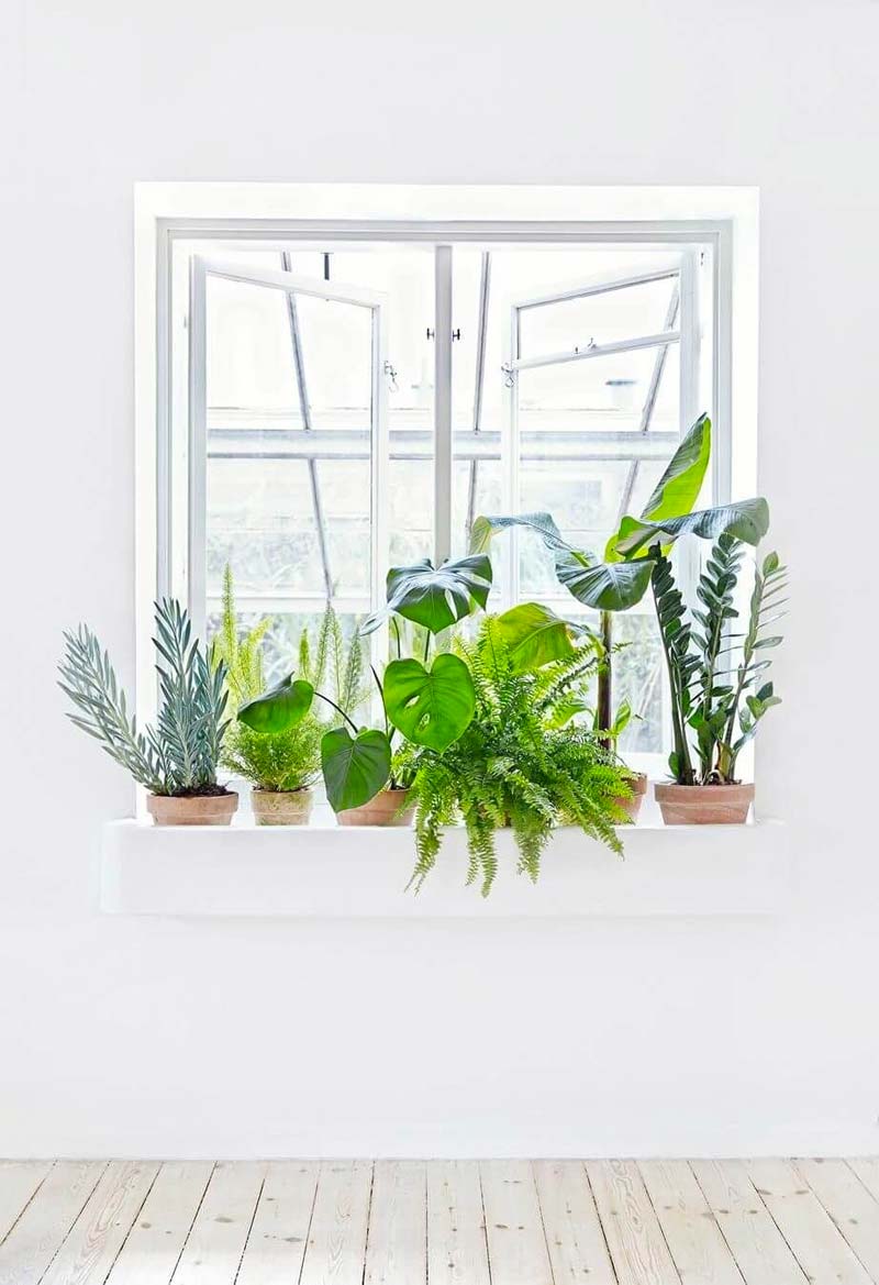 vensterbank decoratie planten