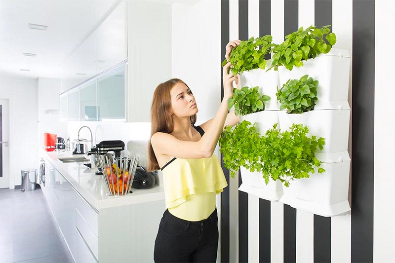 Met een verticale tuin in je keuken kan je jouw eigen verse kruiden kweken!