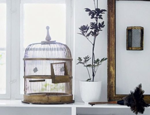 Vogelkooi in huis